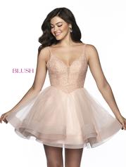 11827 Pink Champagne front