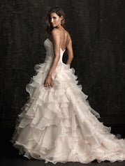 8955 Ivory/Champagne/Silver back