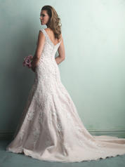 9164 Champagne/Ivory/Silver back