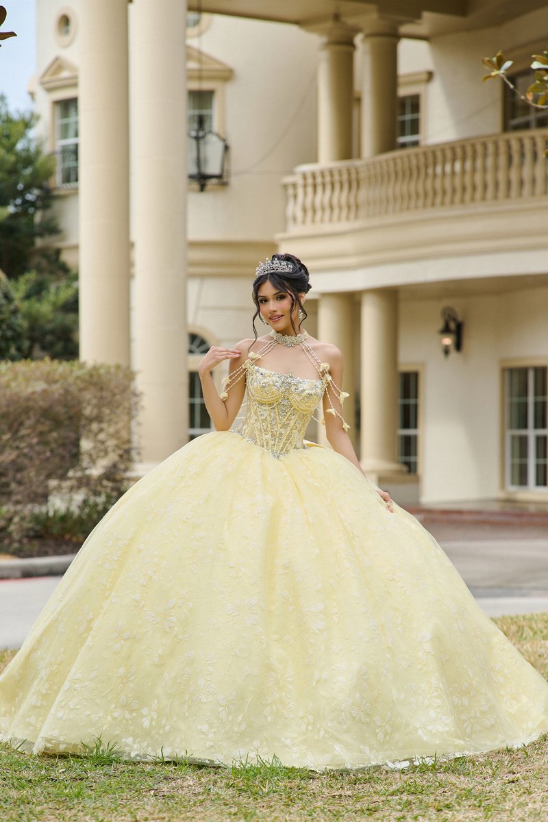  Amabella Quinceanera Q1105