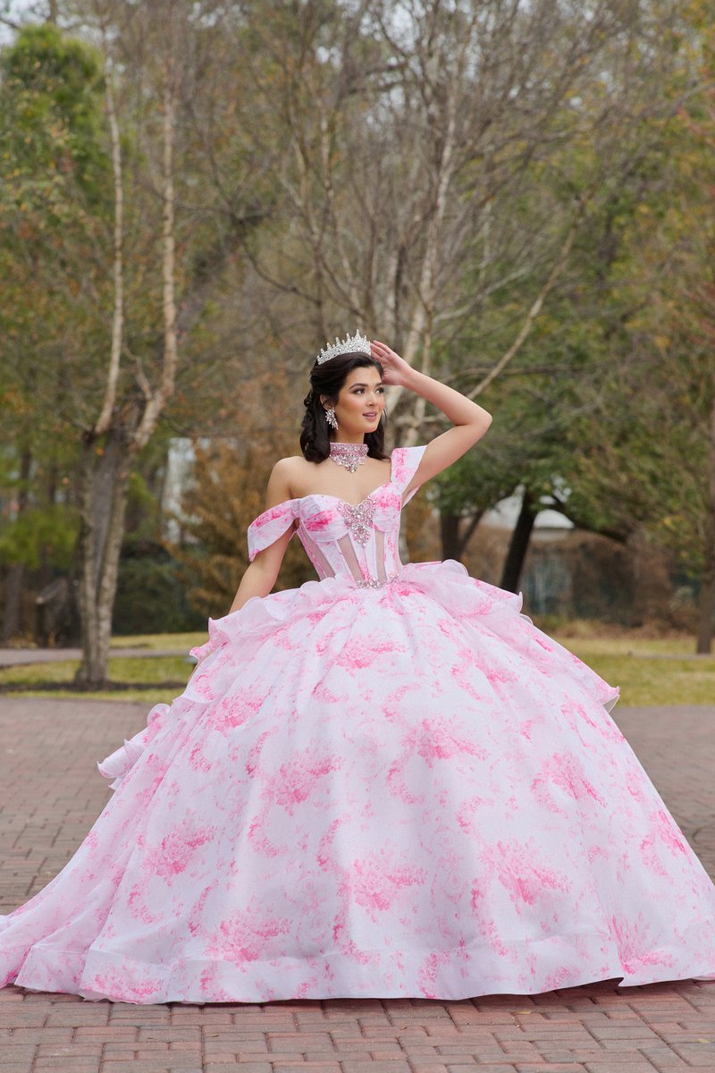 Amabella Quinceanera Q1110