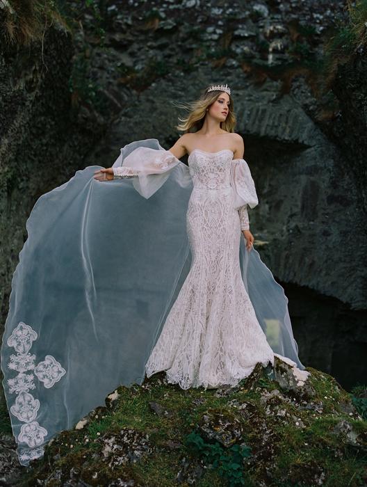 Wilderly Collection of bridal gowns now in stock!