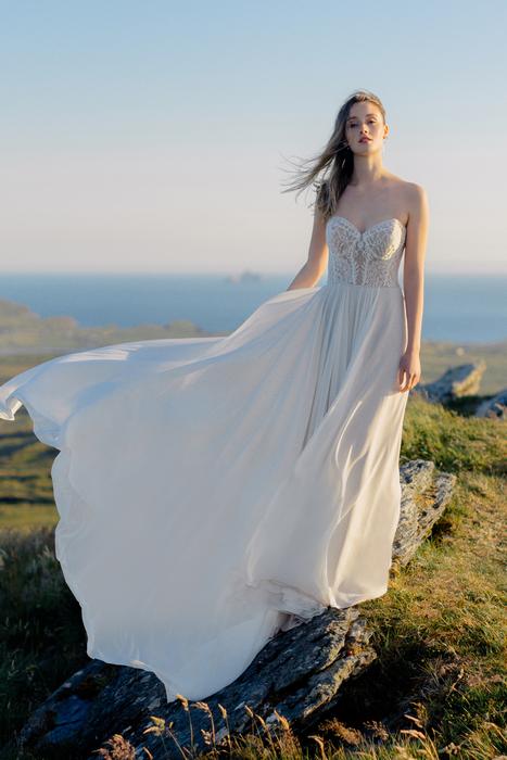 Wilderly Collection of bridal gowns now in stock! F290