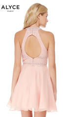 2660 French Pink back