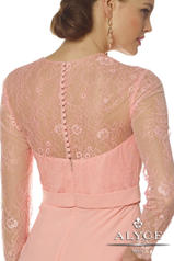 29693 Ice Pink back