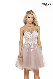 3061 Cashmere Rose front