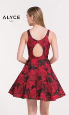 3711 Red Print back