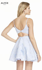 3902 Periwinkle back