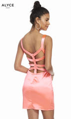 4096 Wow Pink back