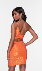 4550 Bright Orange back