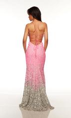 61338 Neon Pink/Silver back