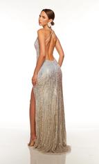 61356 Silver/Gold Ombre back
