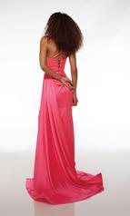 61522 NEON PINK back