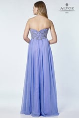 6682 Periwinkle back