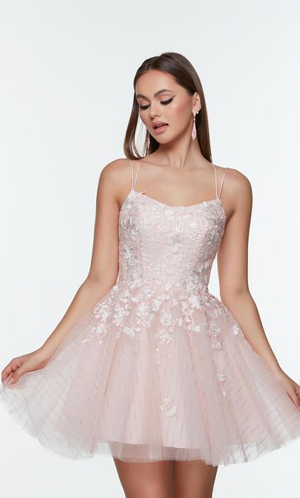 Alyce Paris Homecoming Short Prom Dress 3968