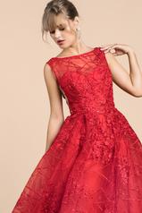 A0471 Red detail