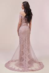 A0587 Dusty Rose back