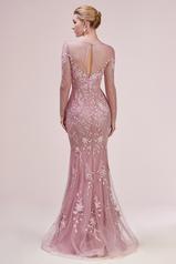 A0624 Dusty Rose back
