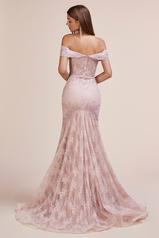 A0666 Dusty Rose back