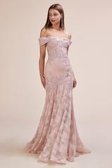 A0666 Dusty Rose front