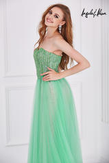 61029 Spring Green other
