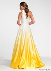 1132 Yellow Ombre back