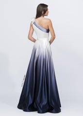 1132 Navy Ombre back