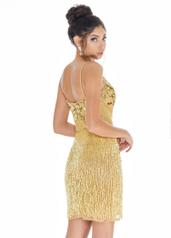 4261 Gold/Nude back