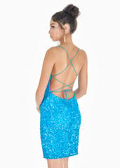 4293 Turquoise Ombre back