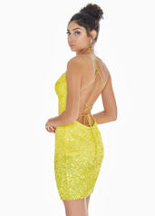 4293 Yellow Ombre back