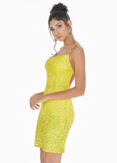 4293 Yellow Ombre detail