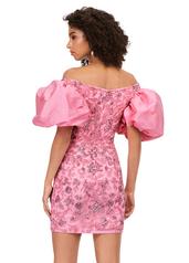 4609 Candy Pink back