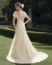 2178 Champagne/Ivory/Silver back