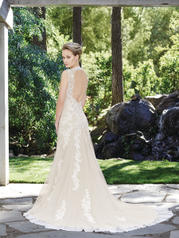 2247 Champagne/Ivory/Silver back