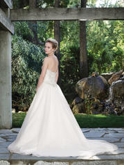 2249 Champagne/Ivory/Silver back