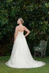 2276 Champagne/Ivory/Silver back