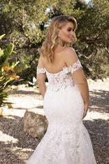 2376 Champagne/Nude/Ivory/Silver back