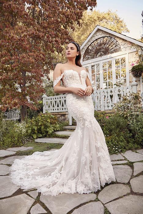 Bridal Gowns 2491