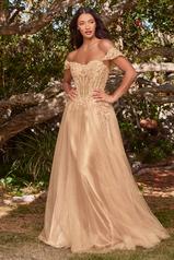 CD0198 Champagne Gold front