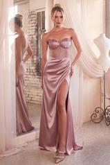 CD295 Dusty Rose front