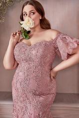 CD959C Dusty Rose front