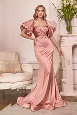 CD983 Dusty Rose front