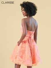 S7043 Coral back