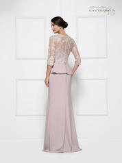 RD2685 Taupe back