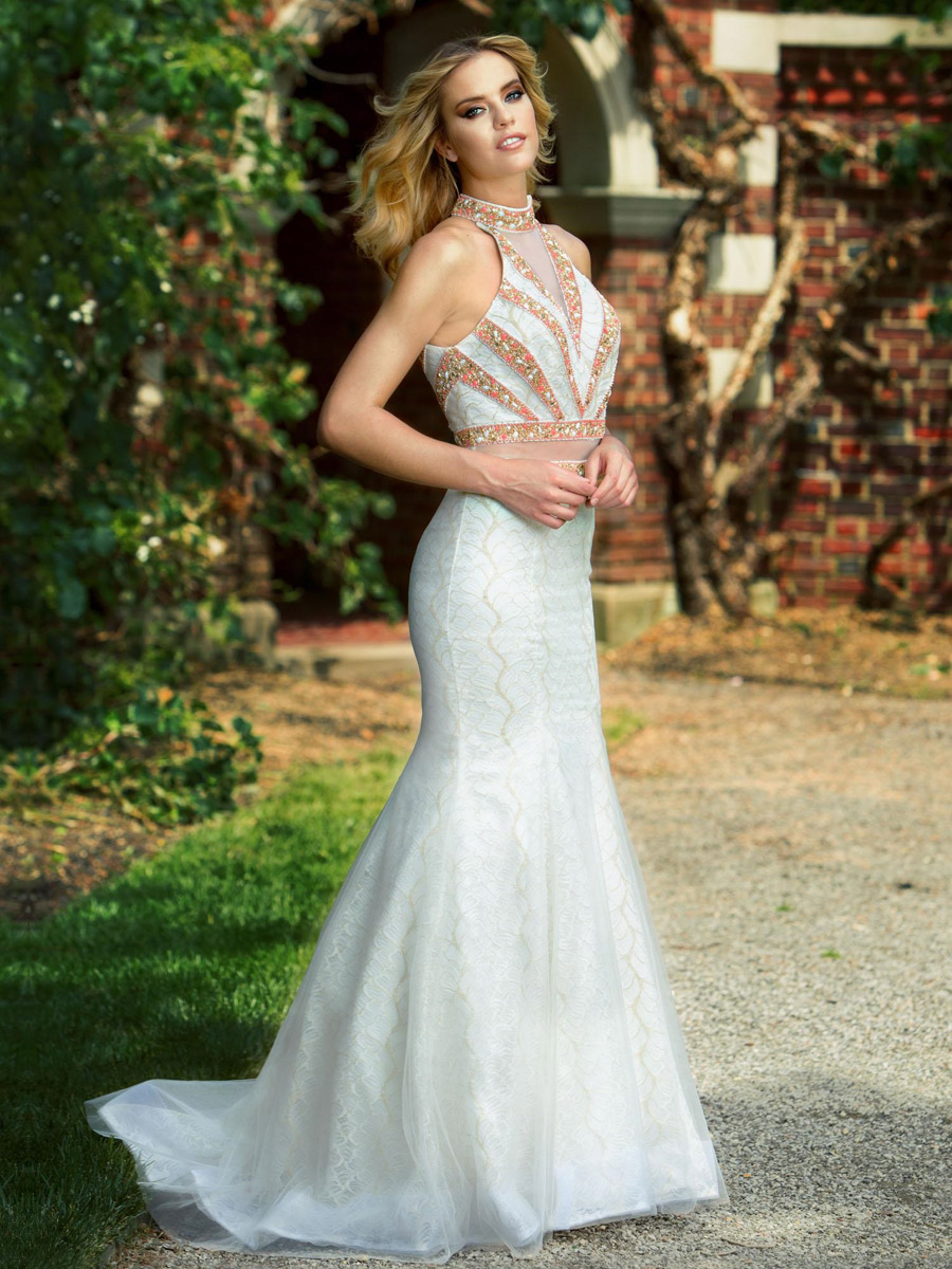 fitted lace wedding dress Long Tulle Nude Prom Evening Dress, Celebrity Dress