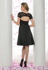 60274 Black back