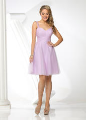 60281 Lilac front