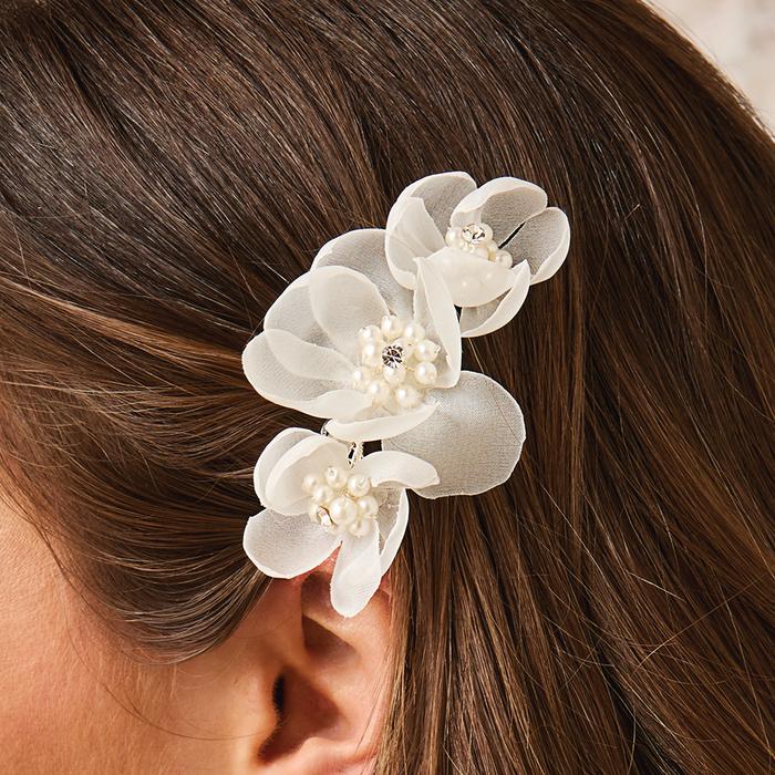 enVogue Accessory HC2530
