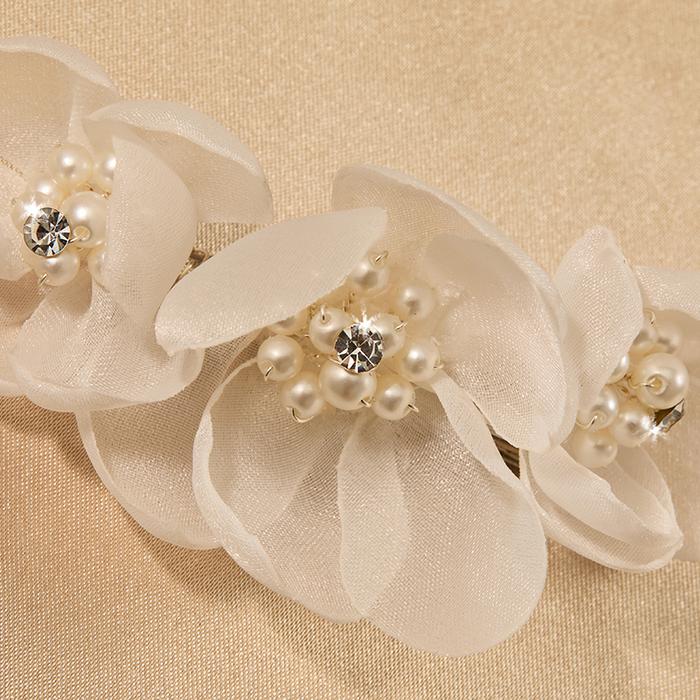 enVogue Accessory HC2530