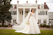 1097-CL Ivory Tulle/Royal Organza/Ivory Gown/Ivory Tulle I front